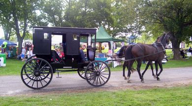 Black Buggy Day