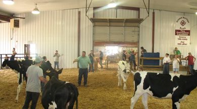 Delaware County Free Fair