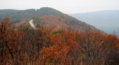 Talihina Fall Foliage Festival