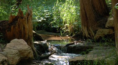 Roman Nose State Park Trail System