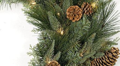 All Pine Christmas Tree Farm