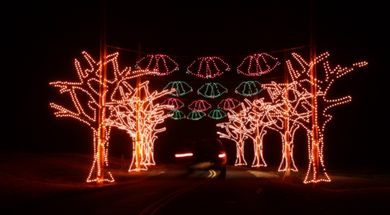 Lights From the Heart