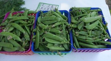 Bartlesville Farmers Market
