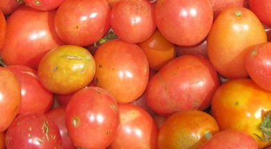 Woodward Farmers Market