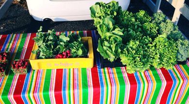 Pittsburg County Farmers Market