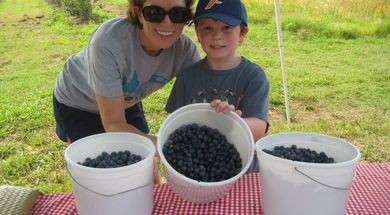 Maple Creek Berry Farm
