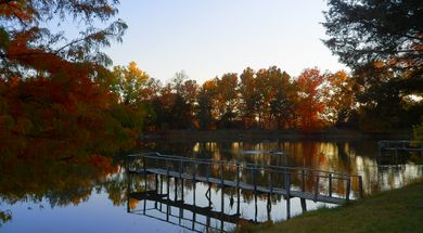 Rolling Stone Stables & RV Park