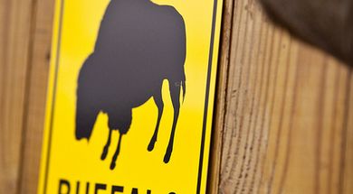 Buffalo Creek Lodge & Guide Service