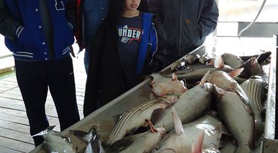 Striper Country Guide Service