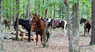 Riverman Trailrides