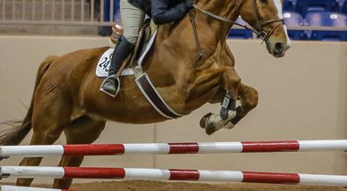 Hunter Jumper Exhibitors of Oklahoma Fall Finale
