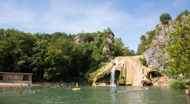 Dive into the Natural Beauty of Davis