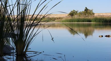 Fort Supply Lake