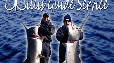 Willis Guide Service