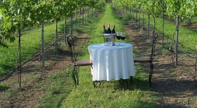 Wakefield Country Inn & Winery