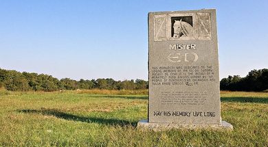 The Grave of Mister Ed