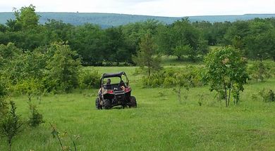 Pine Mountain Trails