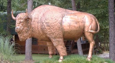 Beavers Bend Wildlife Museum & Cabin Rentals