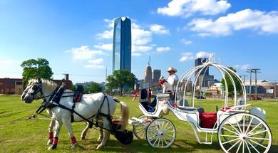 Lazy J Ranch and Rodeo Company & Carriage Rides