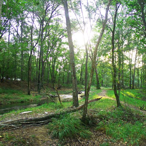 Follow the hiking trail alongside Lost Creek in Beavers Bend State Park.