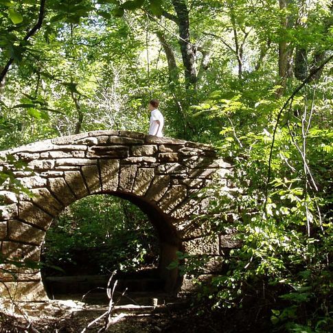 The hiking trails at the Chickasaw National Recreation Area in Sulphur pass through a forest thick with oak, maple, sweetgum and hickory.