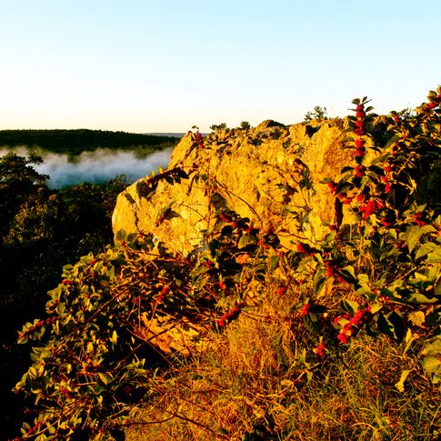 A morning fog rises among the Sans Bois Mountains at Robbers Cave State Park in Wilburton.