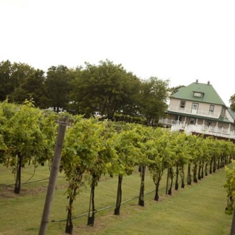A charming bed and breakfast inn overlooks the picturesque vineyards of Indian Creek Village Winery & Village Inn in Ringwood.  Indian Creek offers a romantic countryside escape with gourmet meals, wine tastings and peaceful surroundings.