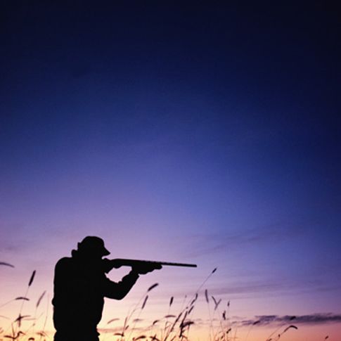 From trophy bucks to plentiful waterfowl, Oklahoma offers hunters a variety of experiences.