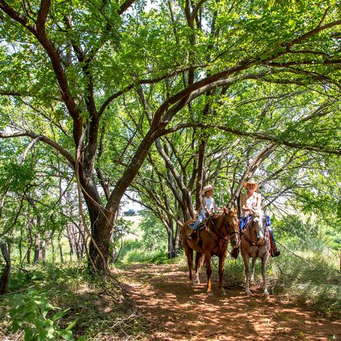 Horseback riding is a popular pastime at Foss State Park.