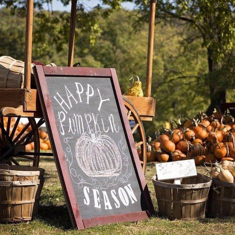 Pick the perfect pumpkin at Parkhurst Ranch & Pumpkin Patch in Arcadia.