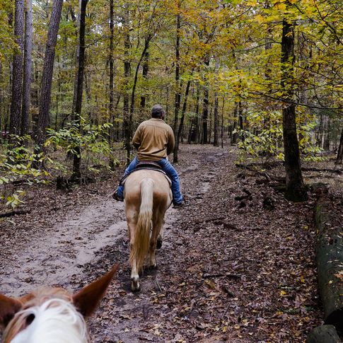 Take a scenic horseback ride through gorgeous foliage with the Beavers Bend Depot.