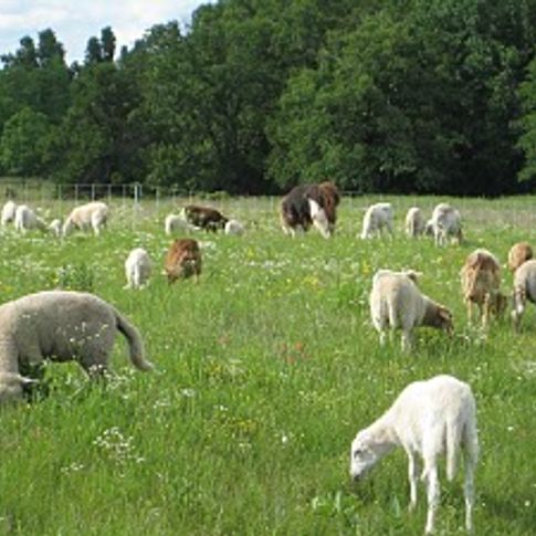 The Living Kitchen Farm and Dairy in Depew offers themed dinners made with local, seasonal produce.