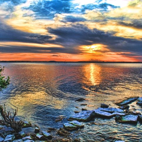 A delightfully colorful sunset highlights a tenacious shrub that is thriving along the rocky shoreline of Lake Eufaula.