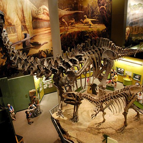 Norman is the home of the Sam Noble Oklahoma Museum of Natural History on the University of Oklahoma campus.  The museum&#039;s resident dinosaurs, gargantuan prehistoric bugs, nature dioramas and walk-through cave make it extremely popular with the kids.