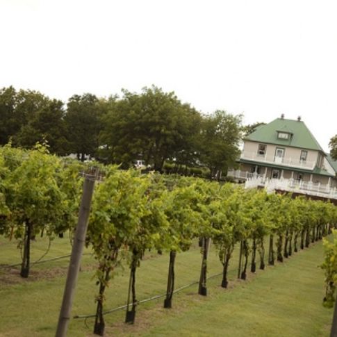 A charming bed and breakfast inn overlooks the picturesque vineyards of Indian Creek Village Winery &amp; Village Inn in Ringwood.  Indian Creek offers a romantic countryside escape with gourmet meals, wine tastings and peaceful surroundings.