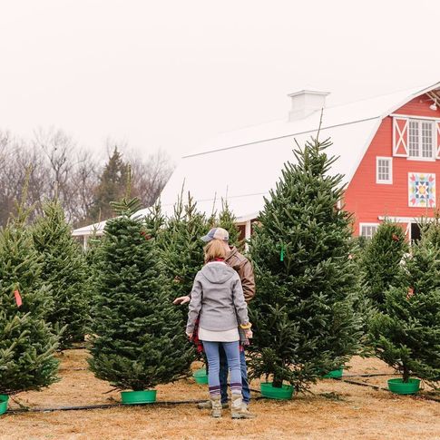 Create lasting winter holiday memories with a trip to Red Bird Farm in Enid.