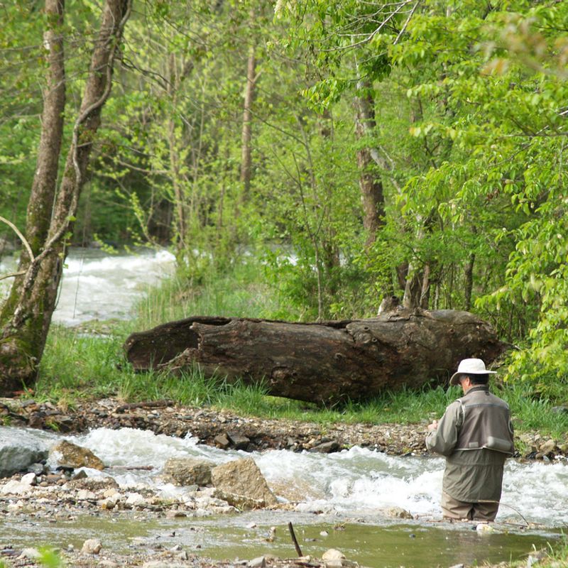 Lower Mountain Fork River Oklahoma's Official Travel