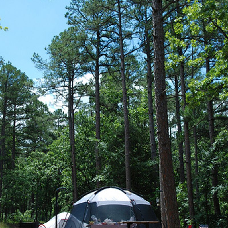 Ouachita National Forest Oklahoma's Official Travel