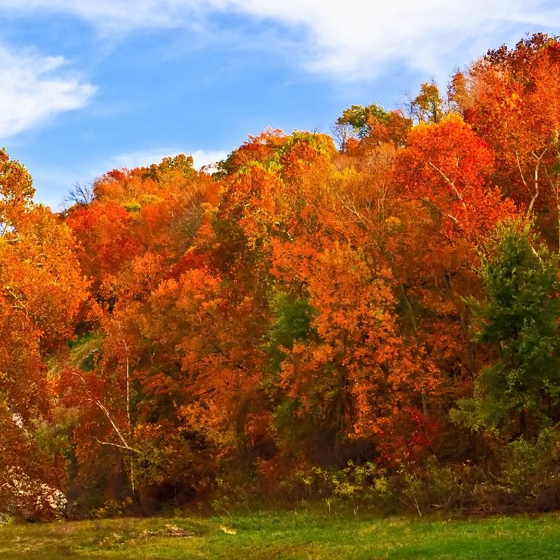 Spavinaw Area at Grand Lake State Park | TravelOK.com - Oklahoma's ...