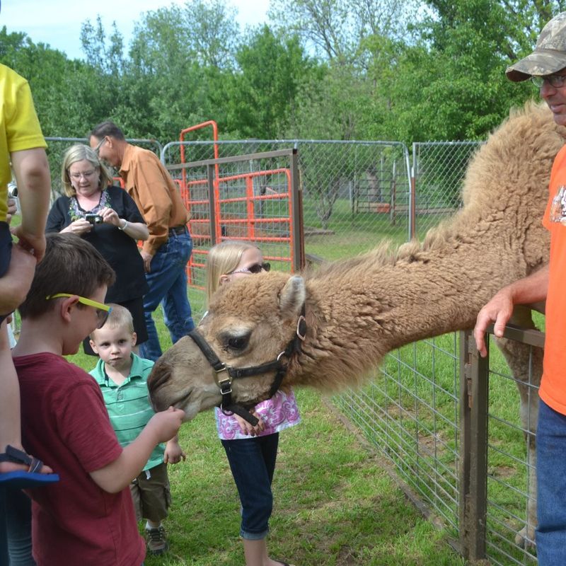 Lost Creek Safari | TravelOK.com - Oklahoma's Official Travel & Tourism ...