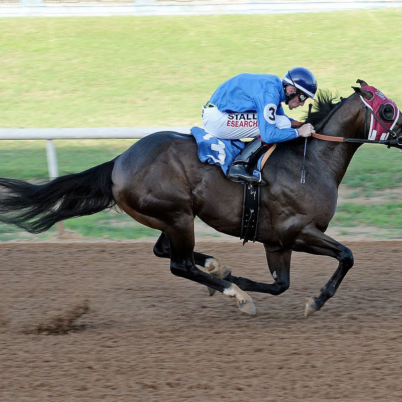 fair-meadows-live-horse-racing-travelok-oklahoma-s-official