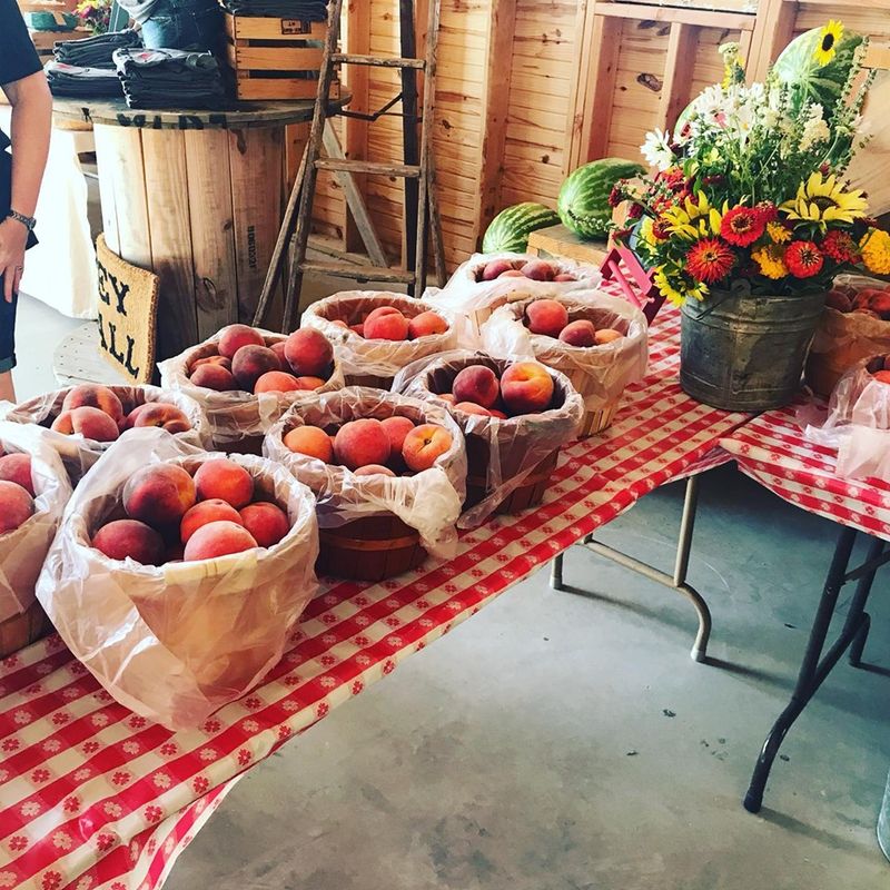 Red Bird Farm Oklahoma's Official Travel & Tourism Site