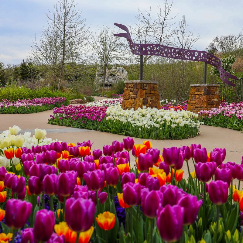 Tulsa Botanic Blooms Oklahoma's Official Travel