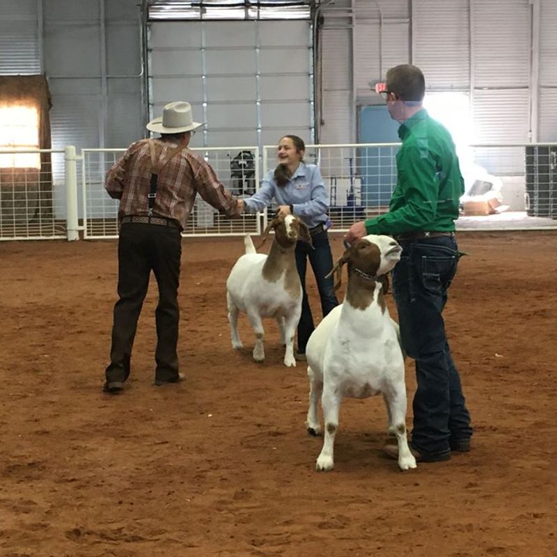 Oklahoma Boar Goat Association Summer Classic Oklahoma