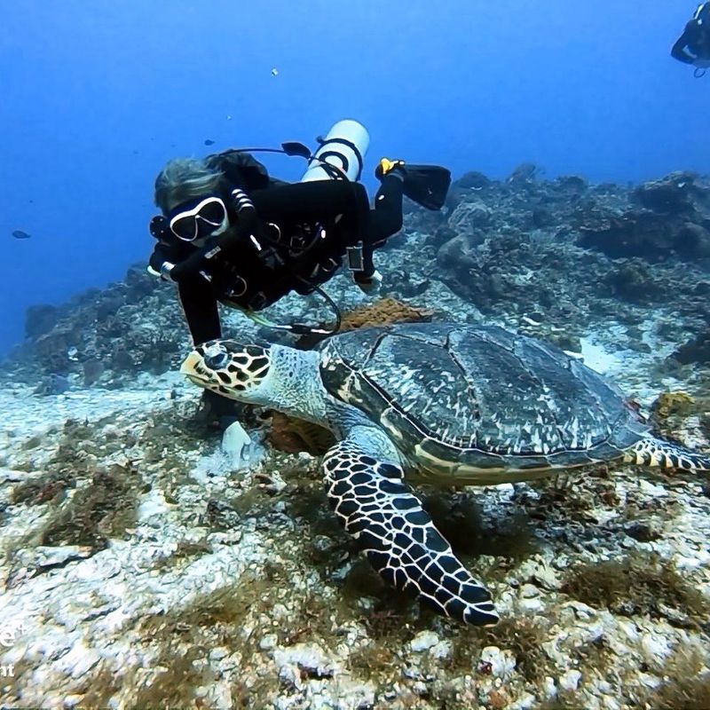 Nautical Adventures Scuba Oklahoma's Official Travel