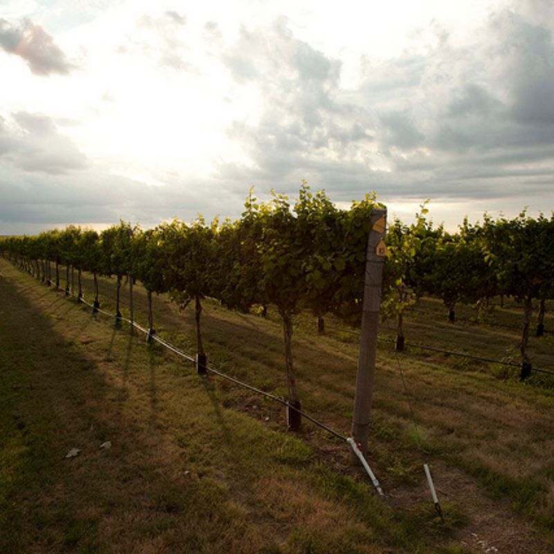 Plymouth Valley Cellars Oklahoma's Official Travel