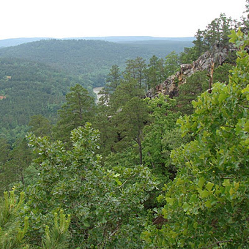 Honobia Creek Wildlife Management Area Oklahoma's