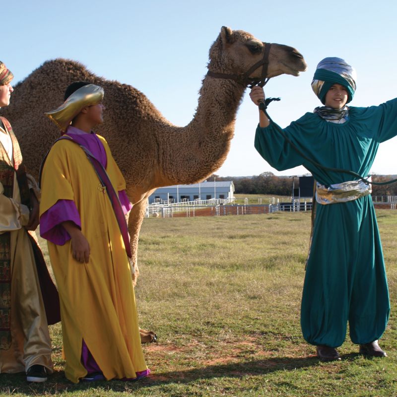 Boys Ranch Town Drive-Thru Christmas Pageant  TravelOK.com - Oklahoma's Official Travel 