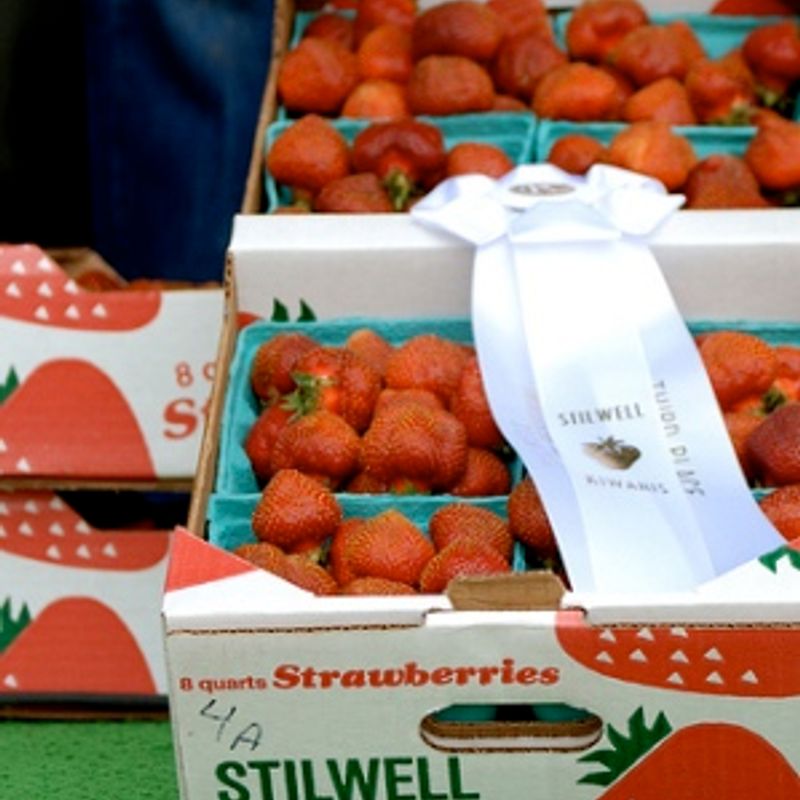 Stilwell Strawberry Festival Oklahoma's Official