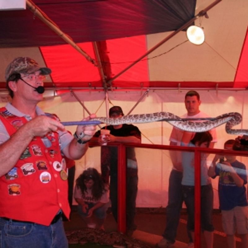 Mangum Rattlesnake Derby Oklahoma's Official Travel